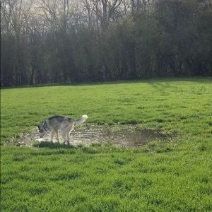 Meet your Posher, Jane